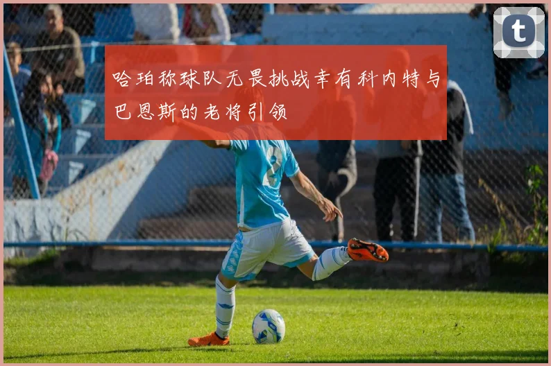 哈珀称球队无畏挑战幸有科内特与巴恩斯的老将引领